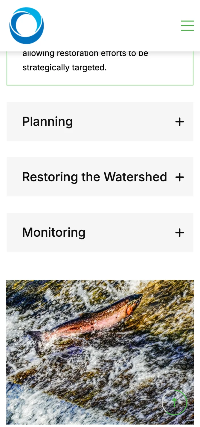 Ikkatsu Project mobile view 1