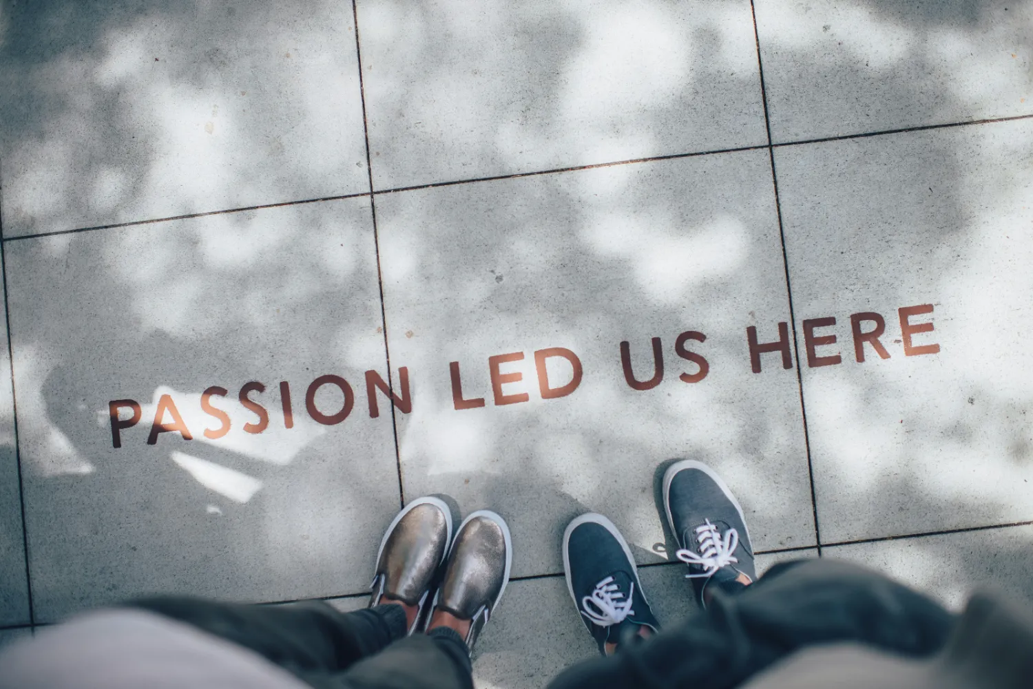 Future Trends in Custom Website Design for Small Businesses